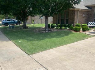 Chris G.'s turf care service result