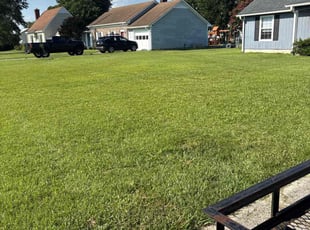 Mark K.'s lawn care services service result