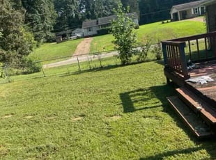 Gourab N.'s lawn maintenance service result