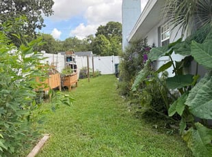 Shannon C.'s lawn service service result