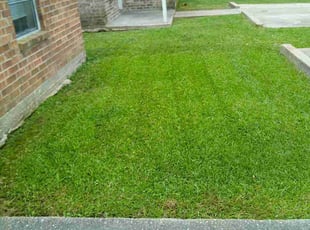 Mikayla G.'s turf maintenance service result