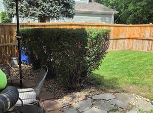 Erick W.'s Bush Trimming service result