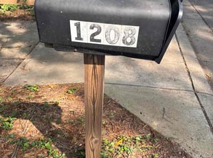 Benjamin P.'s grass maintenance service result