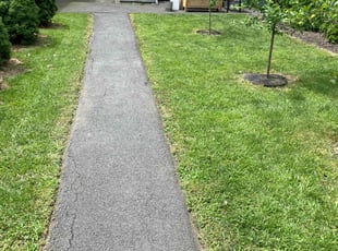 Leonard A.'s lawn care services service result