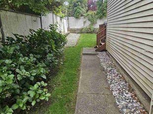 Elizabeth A.'s turf care service result