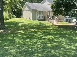 Shetaura H.'s grass maintenance service result