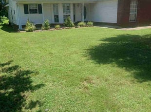 Rose S.'s lawn maintenance service result