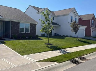 Stephen M.'s turf care service result