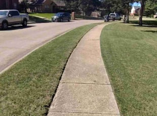 Simone D.'s turf care service result