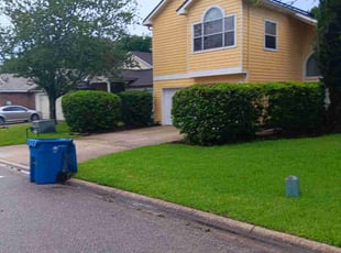 Lannie B.'s landscaping service result