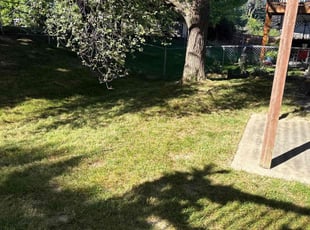 Irvin D.'s lawn service service result