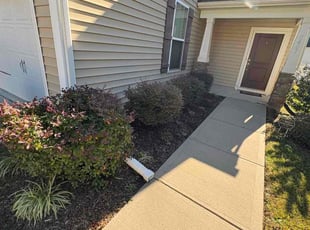 Arlene S.'s Bush Trimming service result