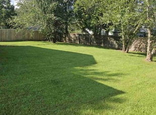 Kim T.'s turf care service result