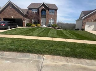 Stuart R.'s turf care service result
