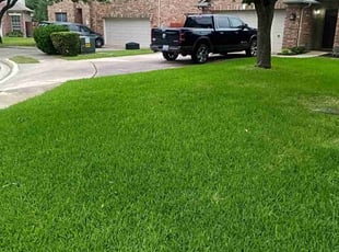 Carl C.'s grass cutting service result
