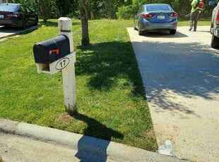 Dennis S.'s turf care service result