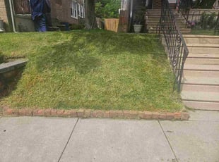 Lloyd H.'s lawn service service result