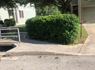 Muhammad R.'s Bush Trimming service result