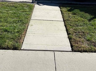 Roody P.'s lawn care service result