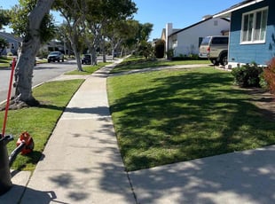 Jeanne R.'s lawn maintenance service result