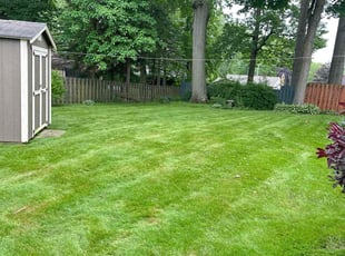 Jim C.'s grass maintenance service result