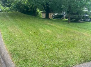 Vineel R.'s lawn service service result