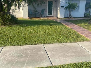 David P.'s lawn care service result