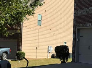 Diana D.'s Bush Trimming service result