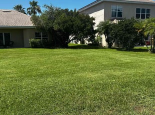 Thomas B.'s lawn service service result