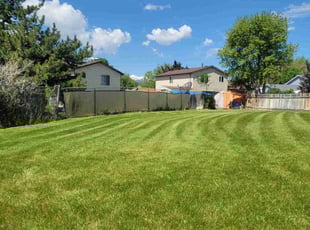 Janis L.'s lawn maintenance service result