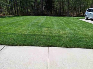 Amy B.'s landscaping service result