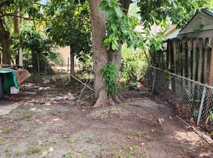 Alexis A.'s Leaf Removal service result