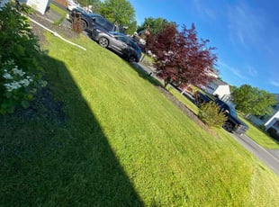 Sharrena J.'s lawn care service result