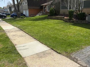 Melanie L.'s grass maintenance service result