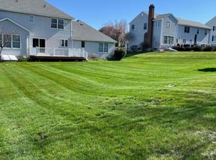 Kathleen S.'s grass maintenance service result