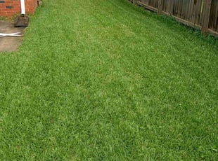 Jerome M.'s lawn care service result