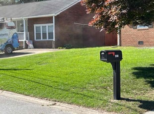 Ruth H.'s grass maintenance service result