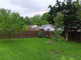 Kimberly M.'s turf care service result