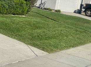 Evan l.'s grass maintenance service result