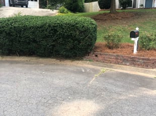 Gina G.'s Bush Trimming service result
