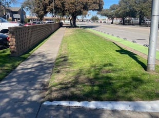 Samelynn C.'s lawn maintenance service result