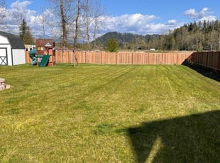 Jamie S.'s turf maintenance service result