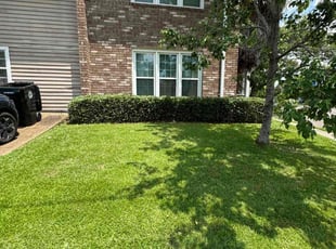 Mike M.'s Bush Trimming service result