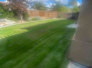 Traci F.'s grass maintenance service result