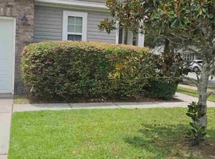 John P.'s Bush Trimming service result