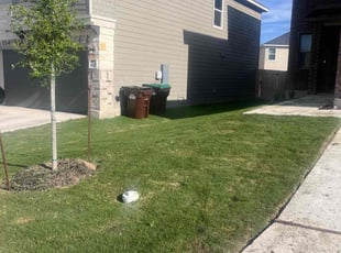 Eileen M.'s turf maintenance service result