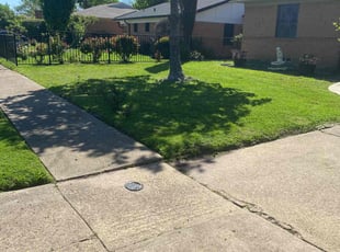 Greg S.'s lawn maintenance service result