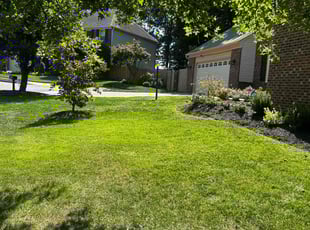 Adolf V.'s turf care service result
