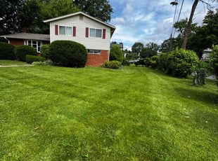 Tj S.'s lawn care services service result