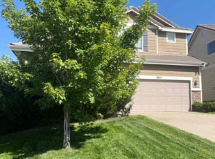 Wendy S.'s lawn care service result